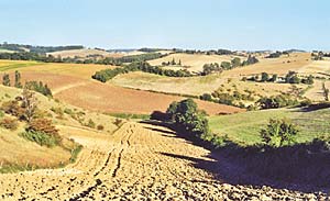 Figure 3 - A/ Vue d'un paysage caractristique du Lauragais central (rgion de Villefranche-de-Lauragais)