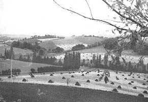 Paysage de bocage, vers Nailloux - 1950 - petites parcelles (Crédit photo : Cliché Roger Brunet)