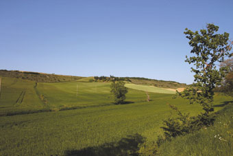 collines de la Piège