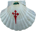 Coquille du pelerin