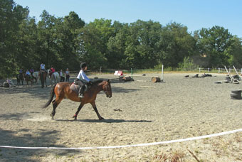 Equitation