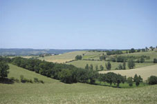 Paysage Montgagnes