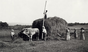 travail de la terre