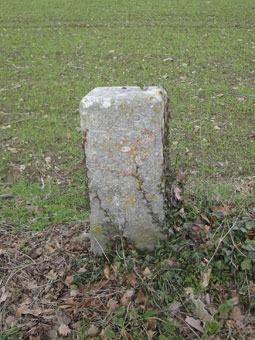 Borne portant le n°248 gravé dans la pierre