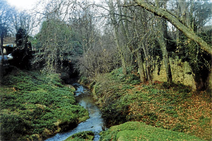 L'Hers Mort à Saint-Michel de lanès : Le seul village bâti sur les deux rives, bien que le noyau ancien soit établi sur un promontoire, rive droite. Le lit a été aménagé, surcreusement et construction de murs le long des rives, pour éviter les inondations.