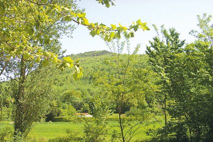 Le Verdun Gaulois