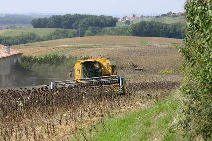 Le Lauragais : un territoire à forte empreinte agricole