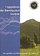Guide archéologique du Tarn