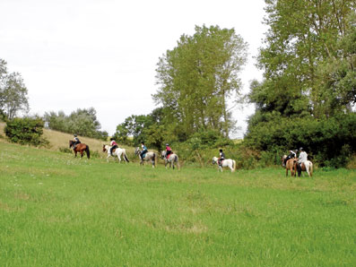 Randonnée à cheval