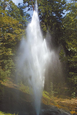 Gerbe de Saint Ferréol