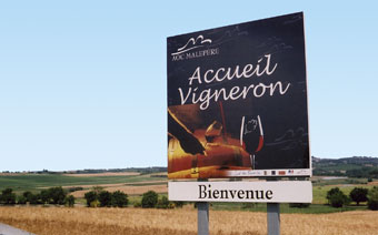 bienvenue accueil vigneron