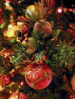 Choisi pour représenter l'arbre de vie du jardin d'Eden lors de spectacles donnés à l'occasion de Noël, le sapin s'orne tout d'abord de véritables pommes (référence au fruit défendu) puis, plus tard, de guirlandes et de boules multicolores.