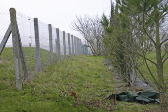 Si vous habitez un lotissement la première chose à faire est de vous informer sur ce qui est prévu dans le cahier des charges. En matière de distances de plantation, la loi ne s'applique que s'il n'existe aucune disposition communale ou autre.