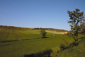 Collines de la Piège