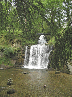 Le lac artificiel de Saint Ferréol entouré de milliers d'arbres est agrémenté d'un parc où se cotoient conifères et feuillus de toutes essences