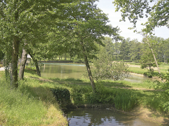 Le canal face à Naurouze, point de partage des eaux vers l'Océan Atlantique et la Méditerranée