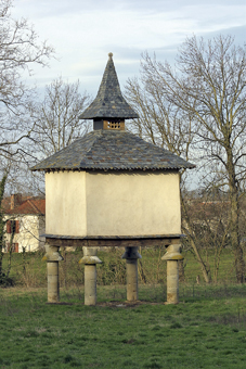 Pigeonnier de Dourgne en occitan "Dornha"