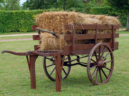    L'utilisation de chariots et de charrettes tirés par des  animaux dans le but d'éviter à des personnes de porter ou de traîner individuellement de lourdes charges, a constitué une nouvelle étape du développement agricole, immédiatement après l'introduction de la charrue.