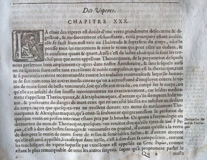 Extrait du livre de Louis de Serres (1626) "Les œuvres pharmaceutiques du sieur Jean de Renou" véritable synthèse de l'art pharmaceutique. Ici chapitre consacré aux vipères dont on retrouve la chair dans la composition de la thériaque.