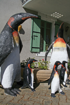 Une famille de pingouins a fait halte  à Saint-Martin-Lalande. Les petits  comptent parmi les créations les plus petites d'Hubert, soit moins d'un mètre. Au dessus l'éléphant mesure plus de  4 mètres, il couve du regard son     éléphanteau.