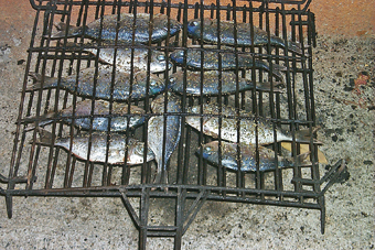 La plupart des poissons sont délicieux grillés. Sardines, maquereaux, truites, rougets, dorades, bars, saumon, thon, espadon... rivalisent de saveur sur le grill. Lorsqu'ils sont cuits entiers et non marinés, on conseille souvent de conserver les écailles des poissons pour maintenir la chaleur et protéger la chair du poisson pendant la cuisson.