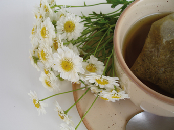 Pour préparer une tisane dans les règles de l’art, il est conseillé de laisser infuser 5 minutes pour une préparation en sachet et 10 minutes pour des plantes en vrac. On conseille alors 20g de tisane pour 4 tasses. Attention, il s’agit d’une moyenne, il est donc fortement recommandé de respecter les indications préconisées sur le produit. Bon à savoir : excellentes à boire, les tisanes sont également utilisées par les plus accros en compresses, bains ou encore inhalations.