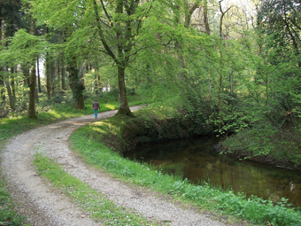 L'entrée de la tranchée orientale du Conquet : la rigole, vue depuis l'amont, quitte là le bassin versant du torrent du Lampy pour passer dans celui du Rieutort.