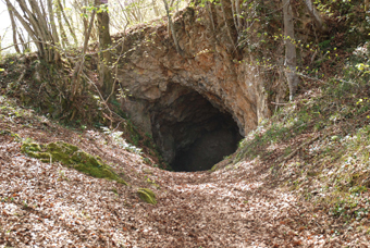 Pour l’hiver, les chauves-souris cherchent un lieu frais, de préférence humide pour éviter le dessèchement des membranes alaires. Certaines espèces choisissent des grottes pour la période hivernale seulement, d’autres o élisent domicile toute l’année.