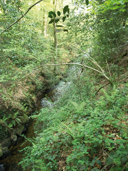 La tranchée orientale du Conquet : la rigole est vue depuis le chemin de service.