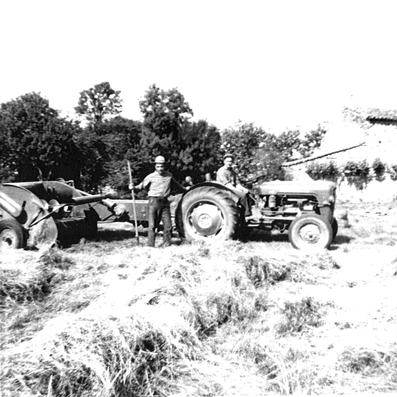 Journée de dépiquage : la machine à battre le grain s'installe