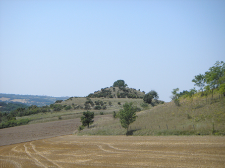 Vue de la Motte Castrale de Montgagnes (La motte castrale est typiquement un ouvrage de défense médiéval ancien, composé d'un réhaussement important de terre rapportée de forme circulaire, la « motte »)