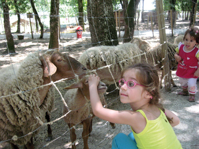 parc animalier pour régaler les enfants