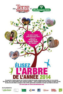 l'arbre de l'année 2014