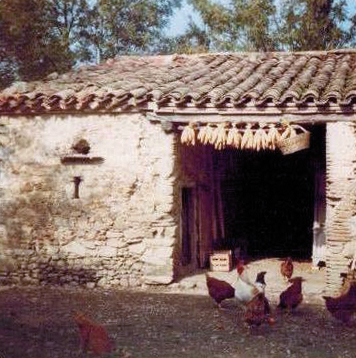 La basse-cour d'une ferme lauragaise