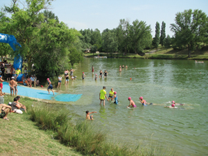 triatlhon half lauragais natation