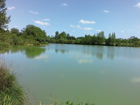 lac domaine des oiseaux mazeres