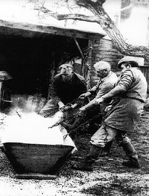 Porc ébouillanté dans la maie, en 1940 