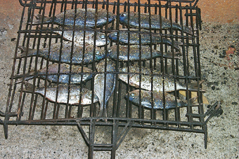 La plupart des poissons sont délicieux grillés. Sardines, maquereaux, truites, rougets,  dorades, bars, saumon, thon, espadon...  rivalisent de saveur sur le grill. Lorsqu'ils sont cuits entiers et non marinés, on conseille souvent de conserver les écailles des poissons pour  maintenir la chaleur et protéger la chair du  poisson pendant la cuisson.  