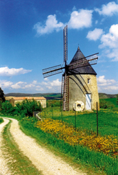 Le moulin de Ribouisse