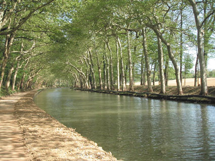Le rapport sénatorial envisage un nouveau mode de gouvernance et la création d’une identité de marque portant les nouvelles ambitions du “Canal du Midi”. Il insiste sur la vision régionaliste du projet et appelle à la mobilisation de tous : population, acteurs publics et privés.