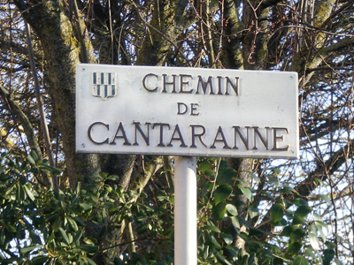 Chemin de Cantaranne : Mais où sont passées les grenouilles (rainettes) ? 