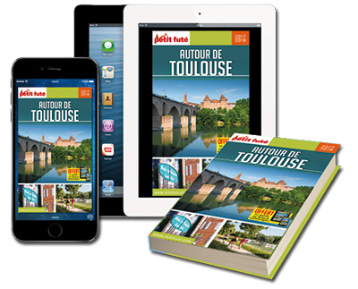 Guide Petit Futé Toulouse